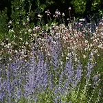 Relais L'antico Convento Country house