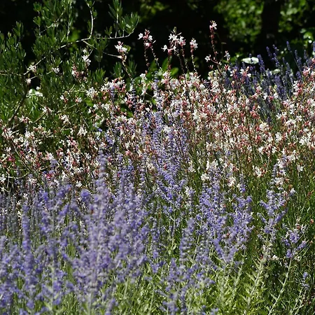 Relais L'antico Convento Country house